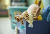 Peluche câlin ultradouce Philips Avent, 0 à 6 mois, girafe