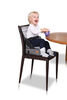 Dreambaby® Grab 'N Go Booster Seat