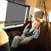 Belle 2 Pack Roller Shades