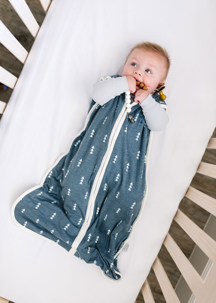 Copper Pearl North Sleep Bag 6 12 Months Babies R Us Canada