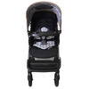 Safety 1st Everide Travel System - Zingaro - R Exclusive