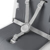 Nuna ZAAZ High Chair - Carbon