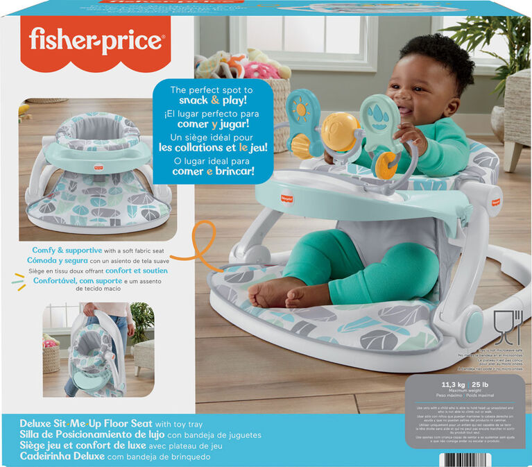 Fisher-Price Deluxe Sit-Me-Up Floor Seat - Pebble Stream, Baby Chair