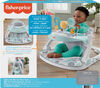 Fisher-Price Deluxe Sit-Me-Up Floor Seat - Pebble Stream, Baby Chair
