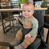 Safety 1st Feed 'N Fold Travel Feeding Booster