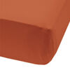 Perlimpinpin-Drap contour en coton-Rouille