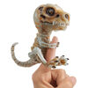 Fingerlings Untamed - Bonehead Skeleton T-Rex - Doom (Ash)