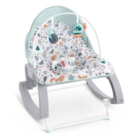 Fisher-Price Deluxe Infant-to-Toddler Rocker Seat Pacific Pebble