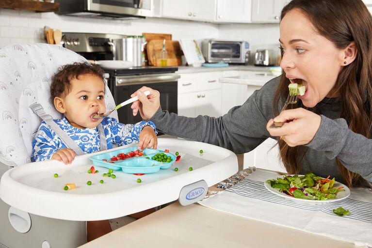 Graco SimpleSwitch 2-in-1 Highchair, Reign