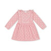 Rococo Velour Dress Pink 3/4