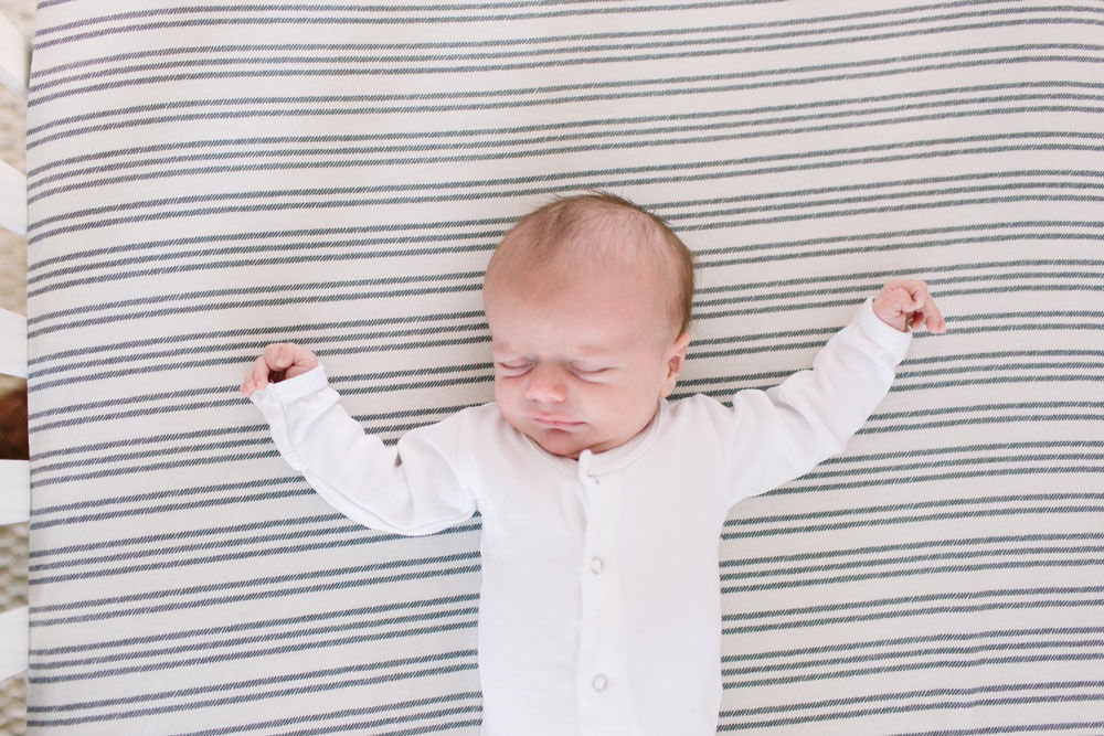 Copper Pearl Midtown Premium Crib Sheet