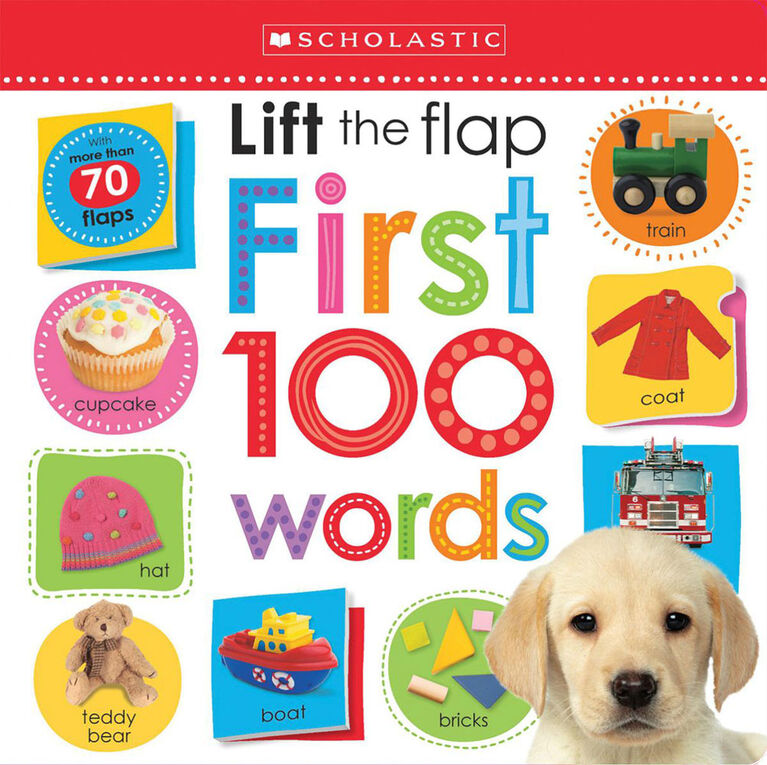 Lift The Flap: First 100 Words - Édition anglaise