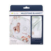 Itzy Ritzy Milestone Blanket - Neutral - English Edition