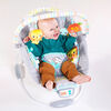 Bright Starts Whimsical Wild - Cradling Bouncer