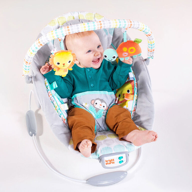 Bright Starts Whimsical Wild - Cradling Bouncer