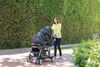 Graco - Ready2Grow Double Stroller - Bexley