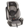 Evenflo Maestro Sport Harness Booster Car Seat - Creston Peaks