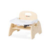 Foundations Easy Serve Ultra-Efficient Feeding Chair 5 Seat Height