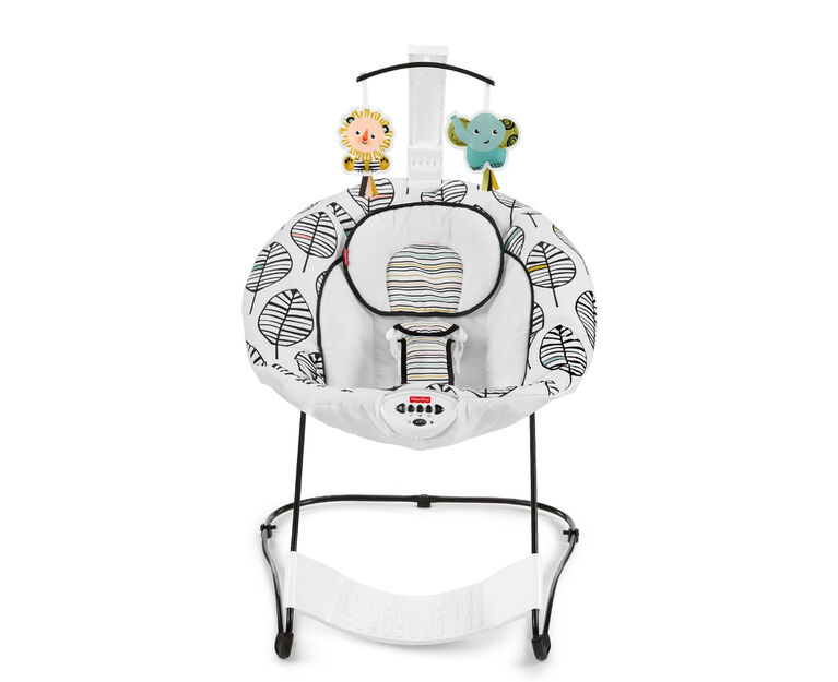 Fisher-Price -Siège sauteur apaisant de luxe.