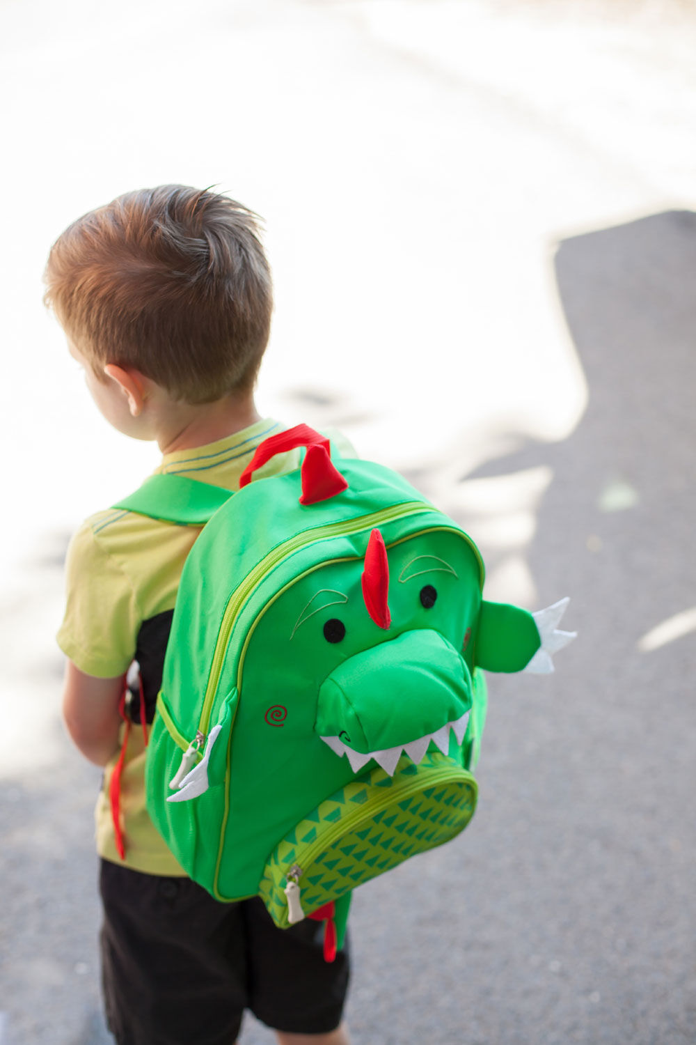 Dinosuar backpack cheap
