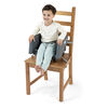 Ingenuity Proper Positioner 7-in-1 High Chair - Parker