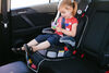 Prince Lionheart seatSAVER Car Seat Protector