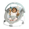 Siège et sauteur InLighten Baby Bouncer - Kitt