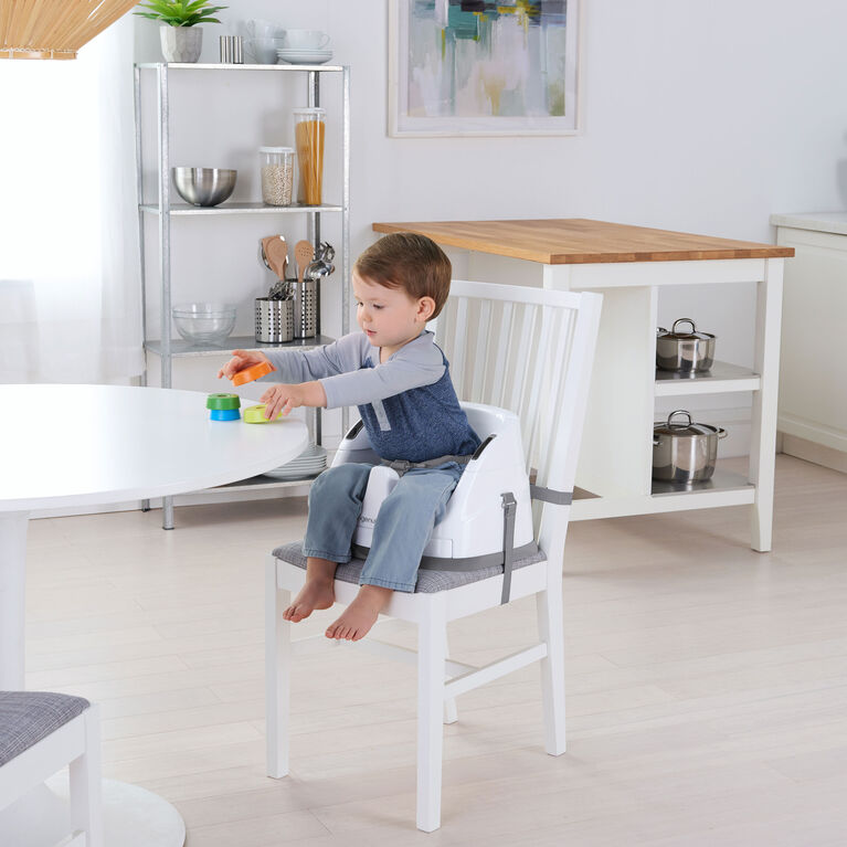 Ingenuity Baby Base 2-in-1 Seat - Slate