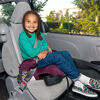 Monterey 2XT Latch 2-in-1 Booster Car Seat, Plum
