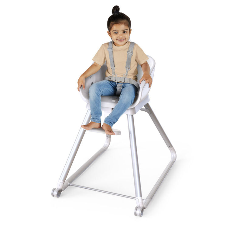 Ingenuity Beanstalk Baby to Big Kid 6-in-1 High Chair - Ray