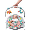 Bright Starts Toucan Tango Bouncer