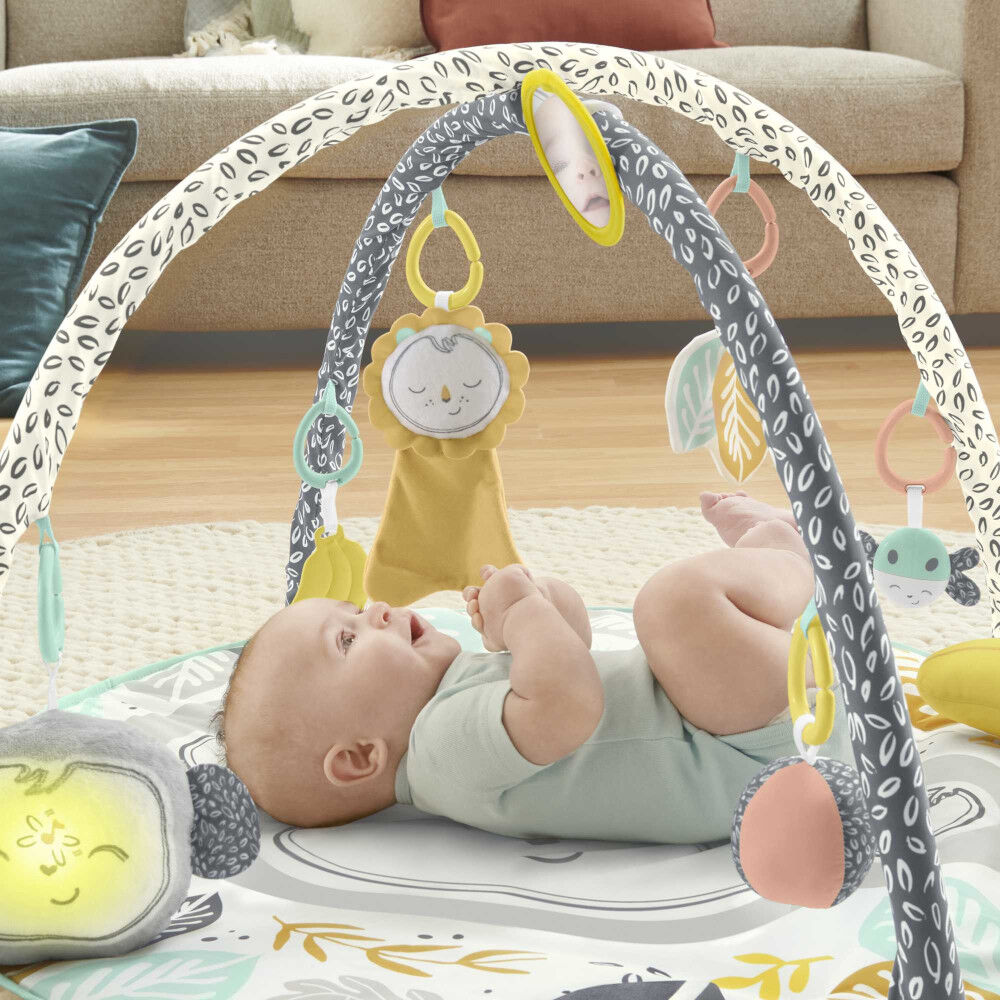 Fisher Price Snugamonkey Go Bananas Gym R Exclusive Babies R
