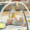 Fisher-Price Snugamonkey Go Bananas Gym - R Exclusive