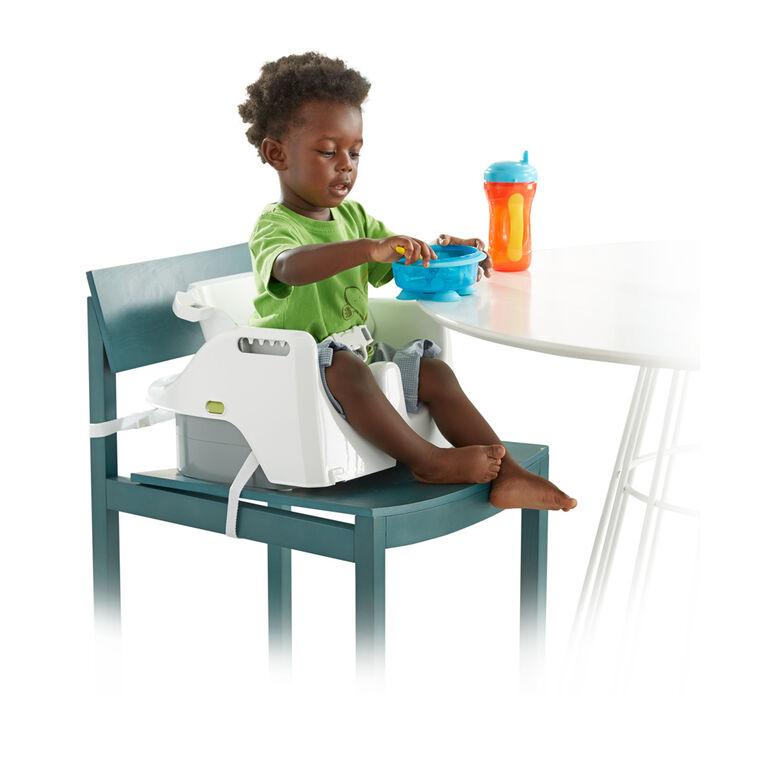 Fisher Price 4 In 1 Total Clean High Chair Babies R Us Canada