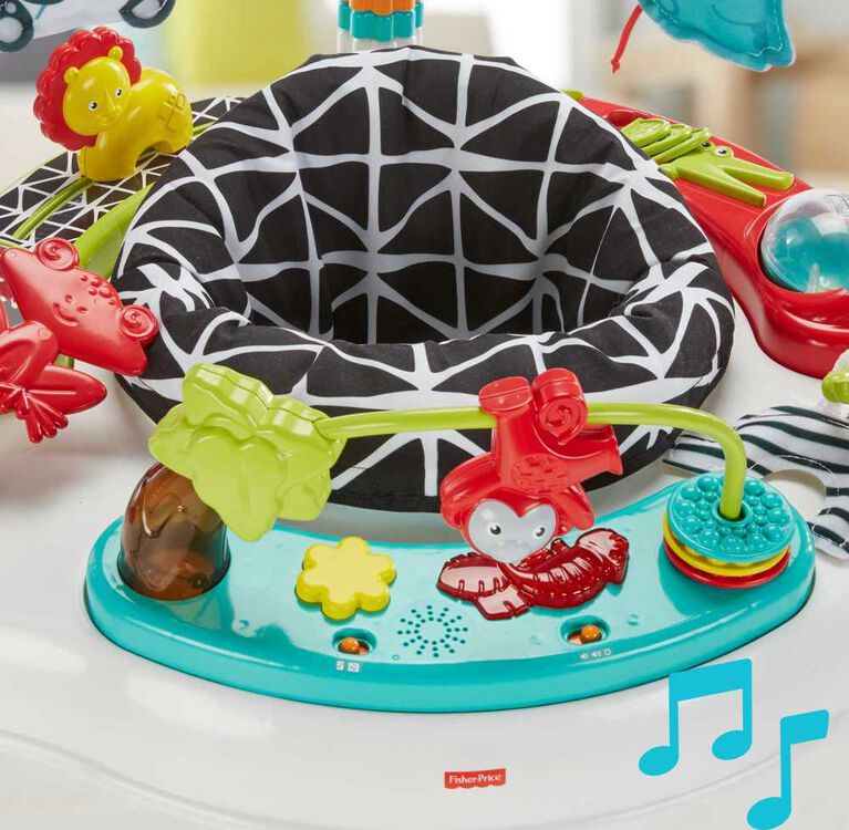 Fisher-Price Baby Bouncer Animal Wonders Jumperoo Activity Center with Music and Lights