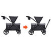 Expedition 2-in-1 Chario de poussette