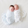 Lulujo - Cotton Muslin Swaddles 2 Pack - Bees + Blue Dots
