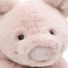 Hamlet, Pig, 14 in