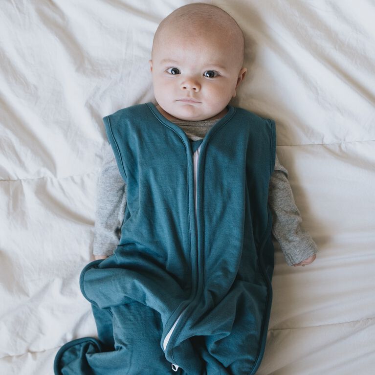 Steel Sleep Bag 612 Months Babies R Us Canada