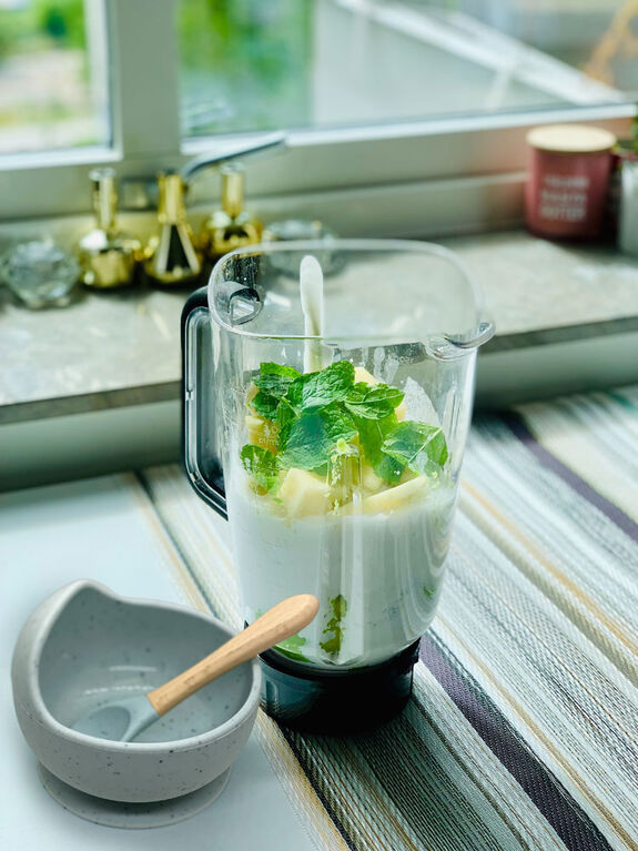 Silicone Spoon with With Glass Bowl