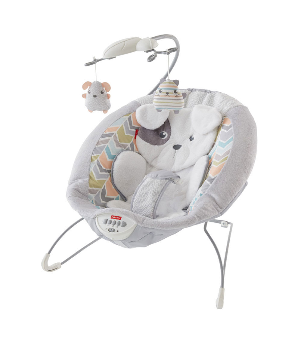 Fisher Price Sweet Snugapuppy Dreams Deluxe Bouncer