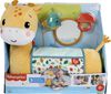 Fisher-Price 3-in-1 Tummy Time Giraffe
