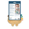 Itzy Lovey Lion
