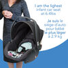 Cosco Light N Comfy Elite Infant Car Seat -Elephant Puzzle Pattern