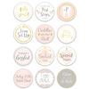 The Peanutshell Baby's Firsts Milestone Stickers