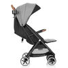 Poussette de jogging GOLD Otto auto-pliante légère - Gris