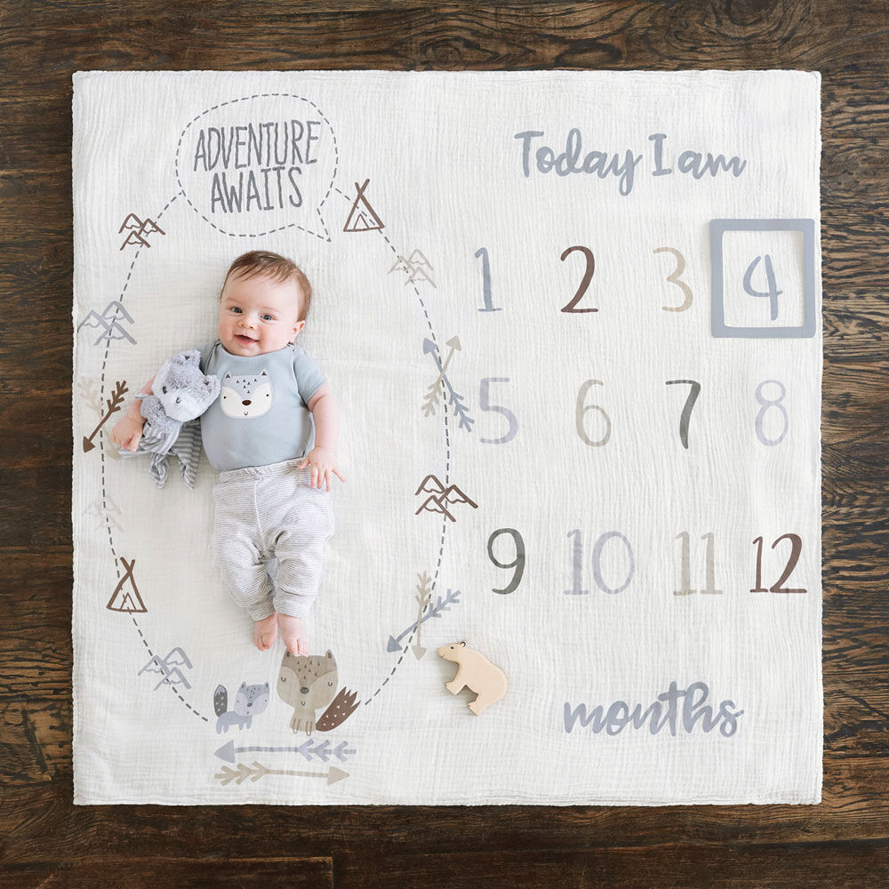 Gerber milestone blanket sale
