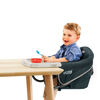 Chicco QuickSeat Portable Hook-On Chair - Graphite