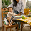 Baby Base 2-in-1 Seat - Night Sky