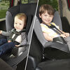 Evenflo RightFit Convertible Car Seat - Barkley